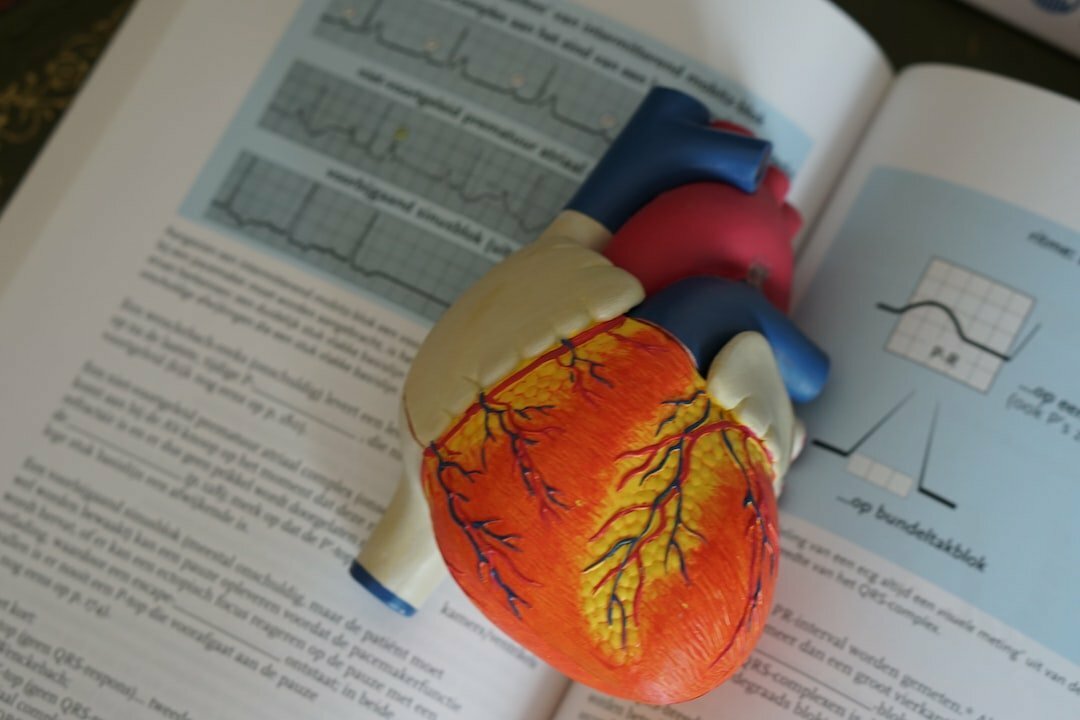 Heart model on medical textbook illustrating wellness and health topics.