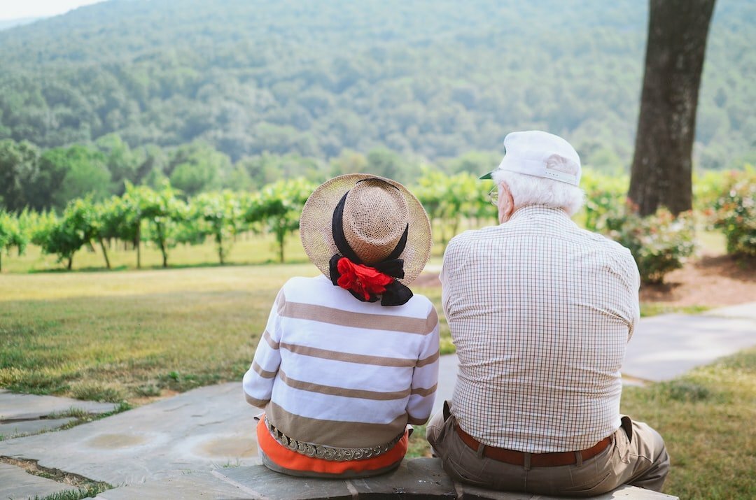 Older couple enjoying vineyard view, lifestyle and wellness article.